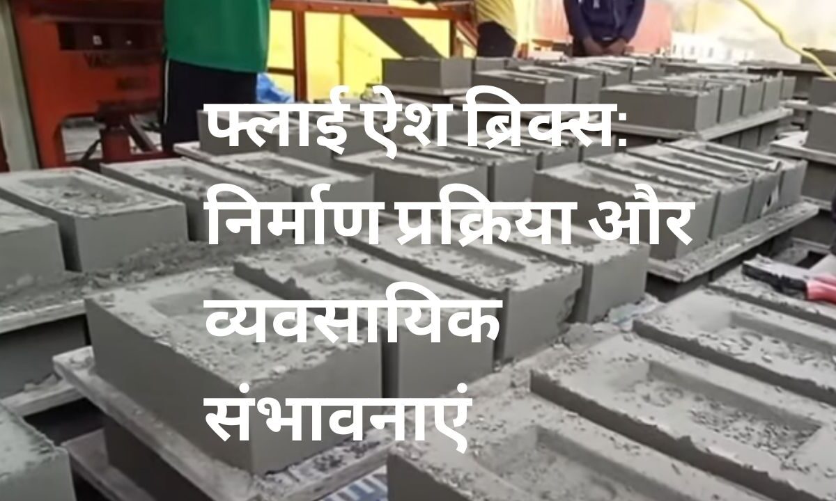 फ्लाई ऐश ब्रिक्स: निर्माण प्रक्रिया और व्यवसायिक संभावनाएं