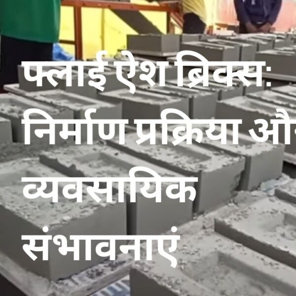 फ्लाई ऐश ब्रिक्स: निर्माण प्रक्रिया और व्यवसायिक संभावनाएं