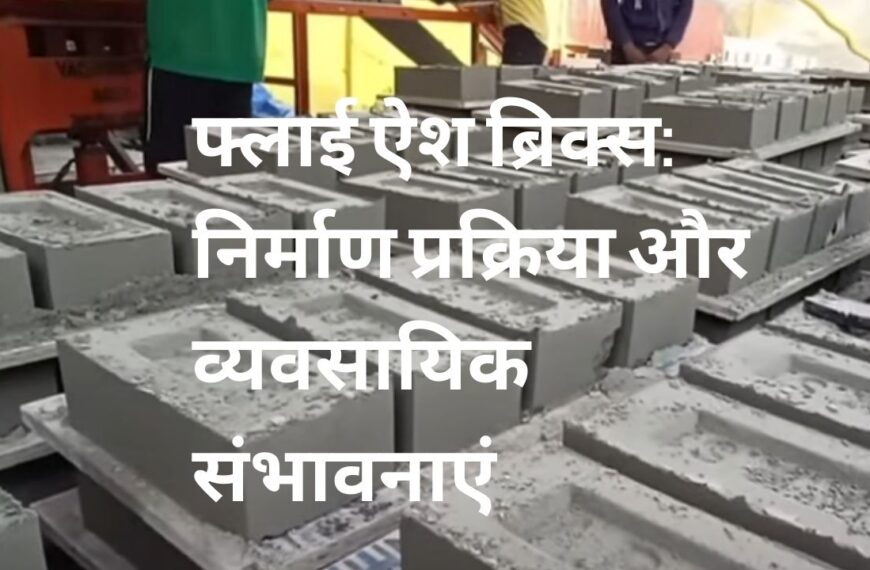 फ्लाई ऐश ब्रिक्स: निर्माण प्रक्रिया और व्यवसायिक संभावनाएं